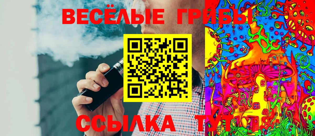 наркошоп  Псилоцибиновые грибы MAGIC MUSHROOMS  Вход с VPN  Сатка 