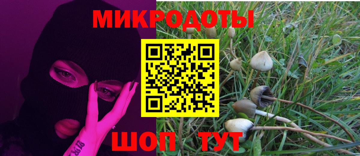 Псилоцибиновые грибы Psilocybe Сатка