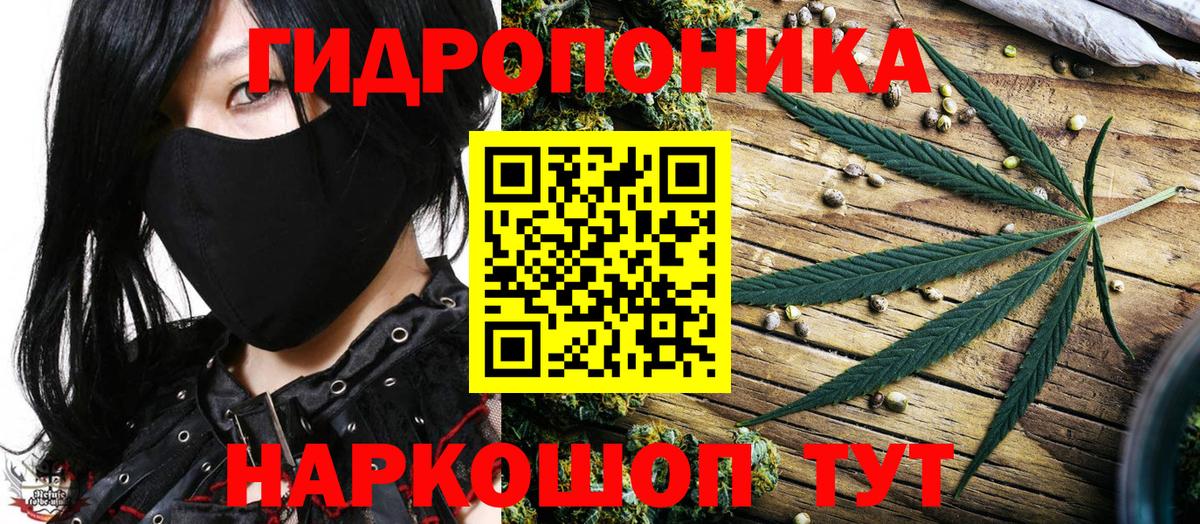 Канабис тримм  Конопля семена  Сатка  Вход с VPN  Бошки марихуана семена 