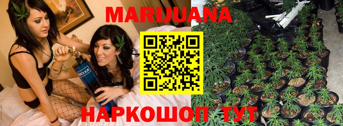 Марихуана Bruce Banner Сатка